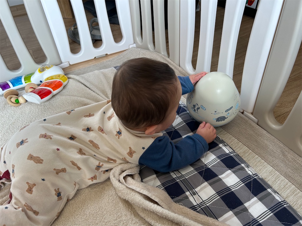 f:id:hazublog:20250621211246j:image