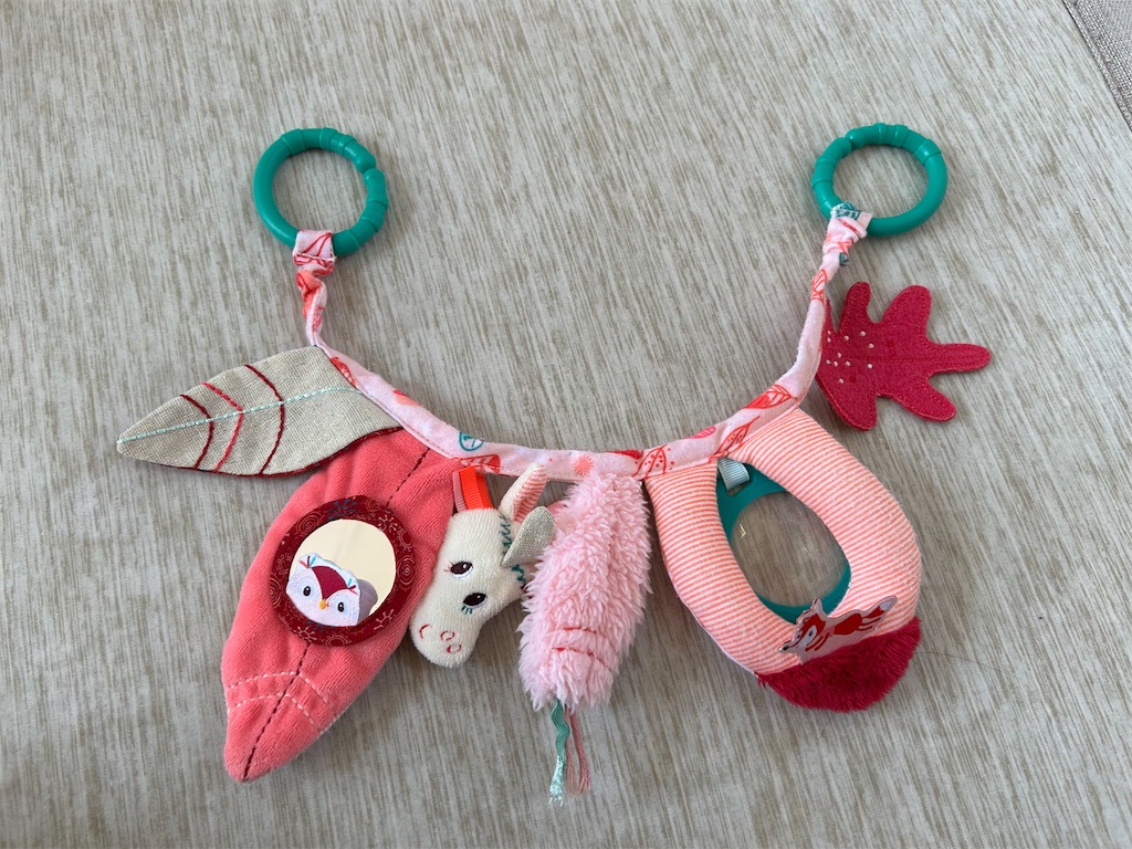 f:id:hazublog:20250621211630j:image