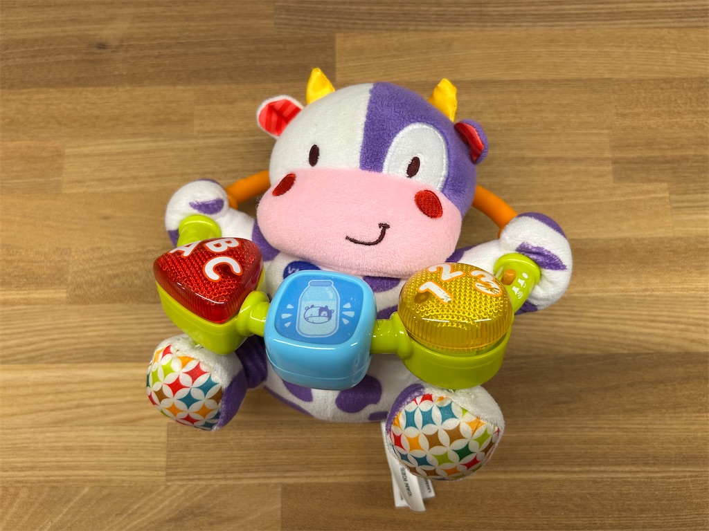 f:id:hazublog:20250621212446j:image