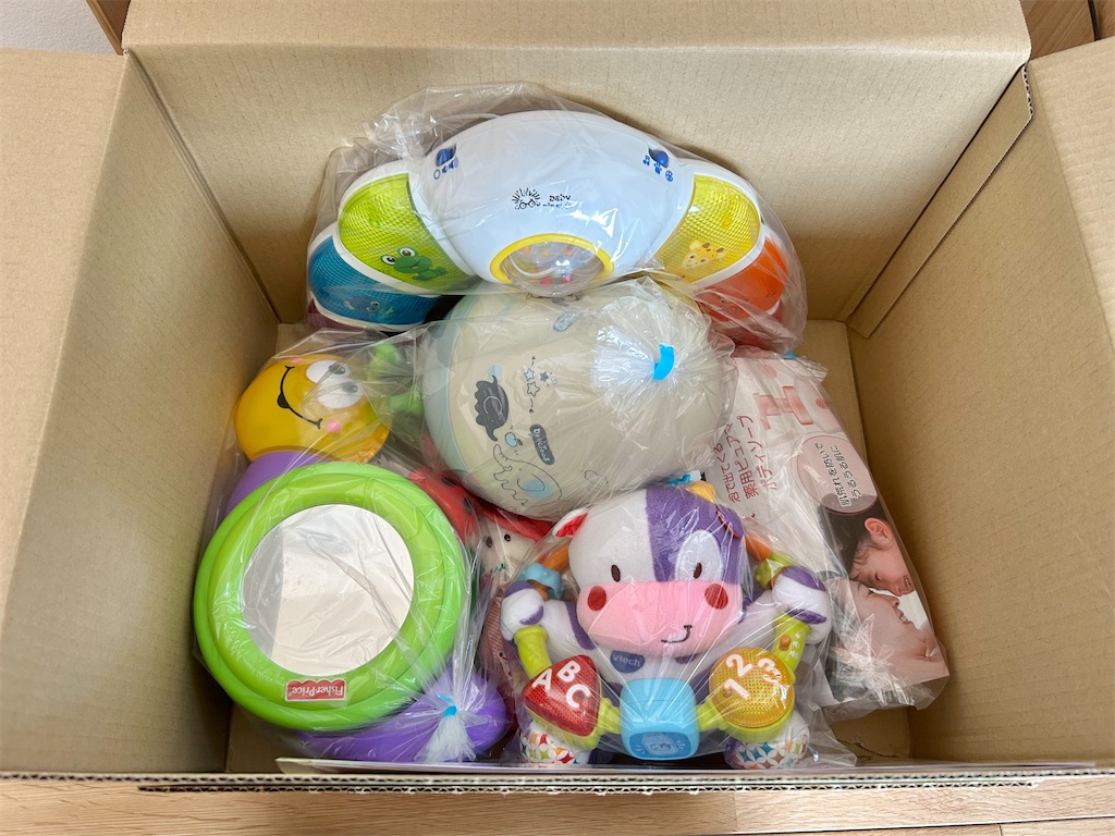 f:id:hazublog:20250621212749j:image