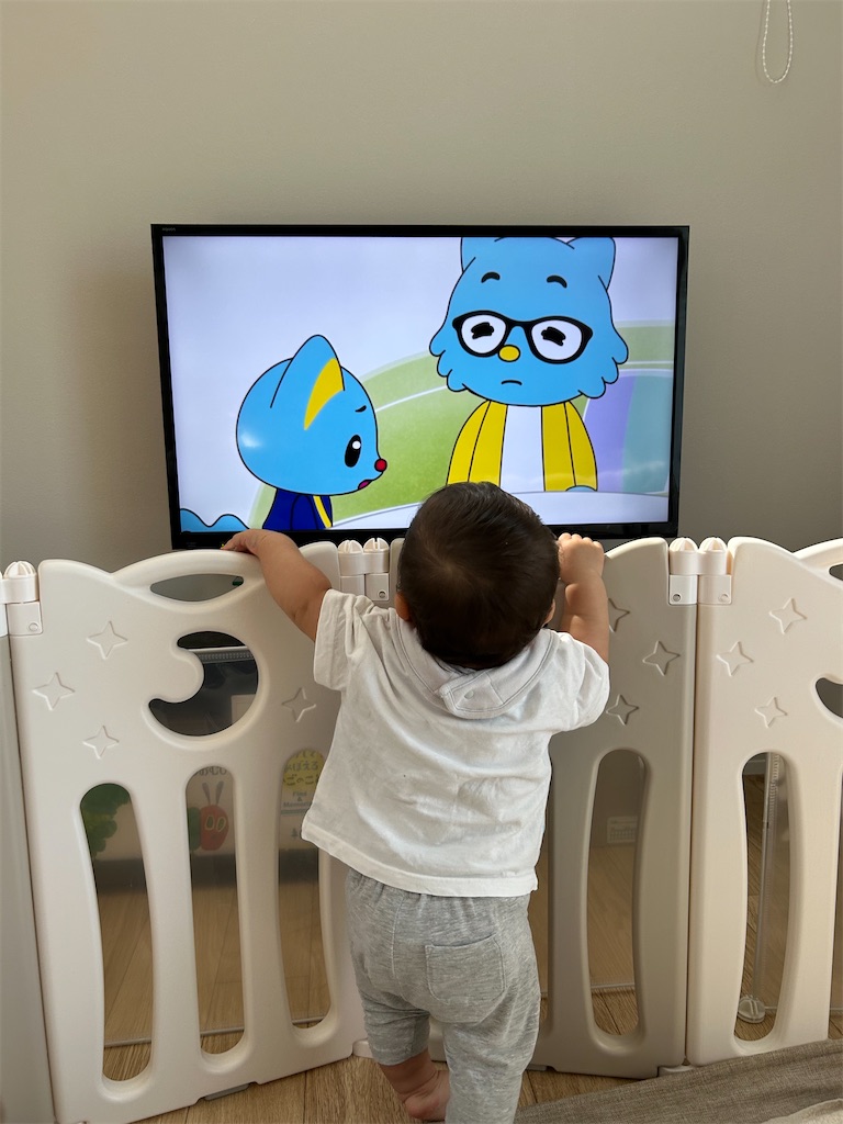 f:id:hazublog:20250702084622j:image