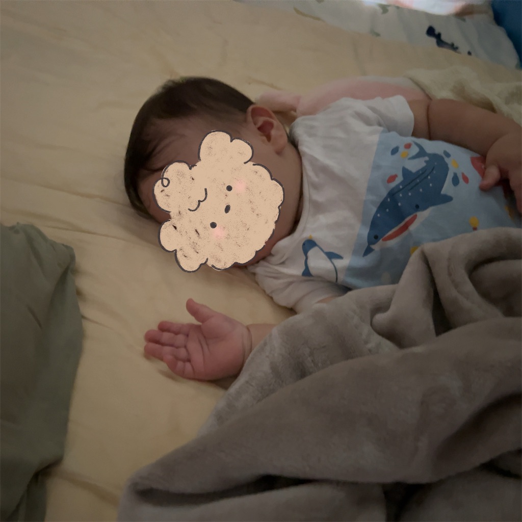 f:id:hazublog:20250703095005j:image