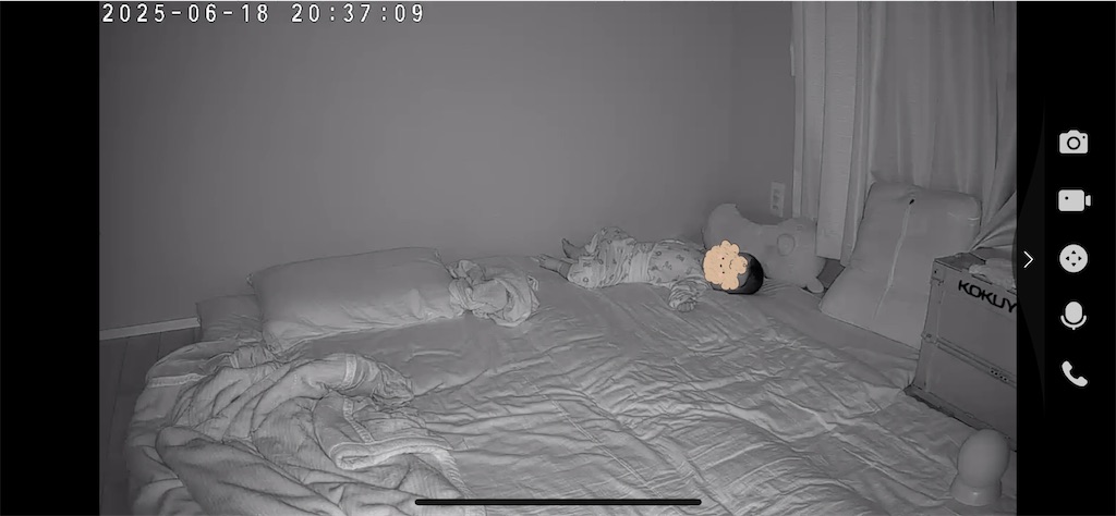 f:id:hazublog:20250703095150j:image