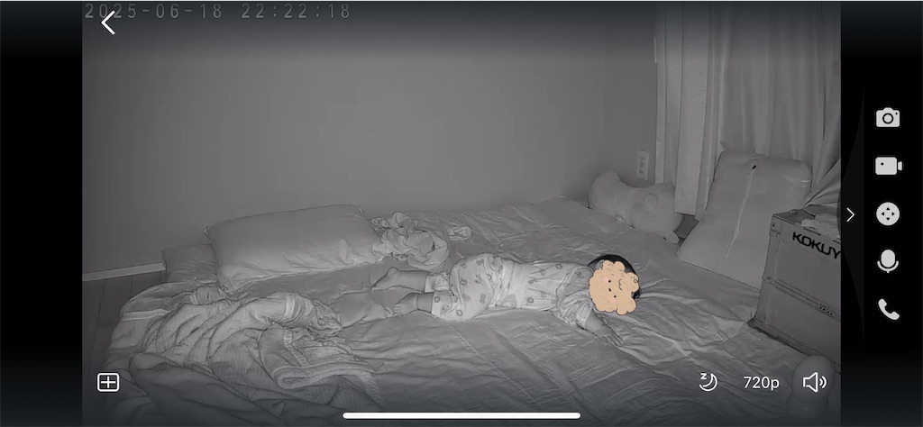 f:id:hazublog:20250703095207j:image