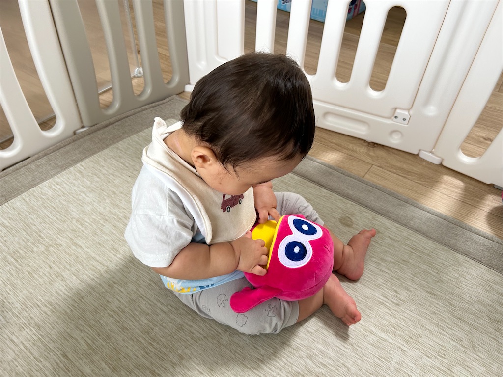 f:id:hazublog:20250707113053j:image