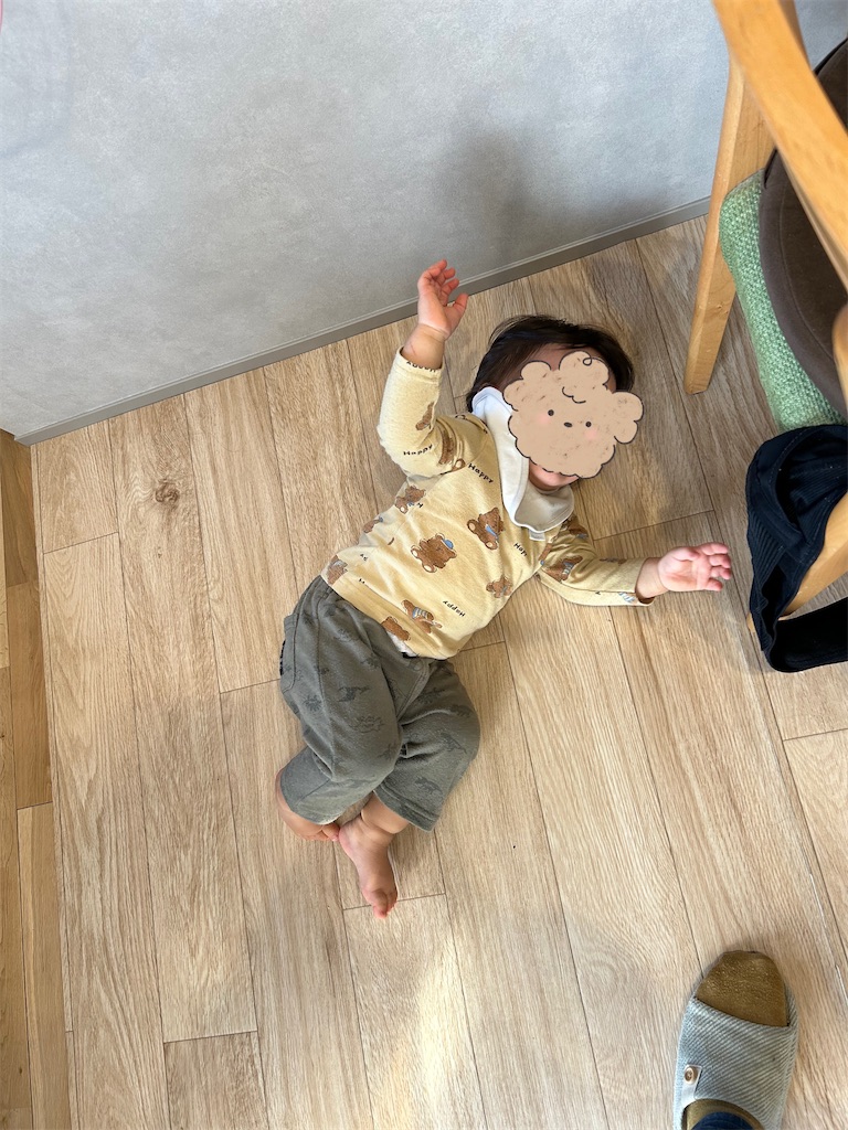 f:id:hazublog:20260119090437j:image