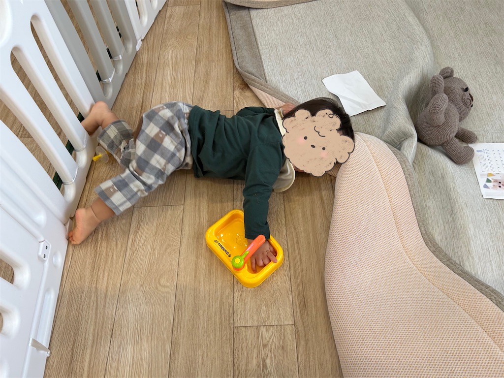 f:id:hazublog:20260120143543j:image