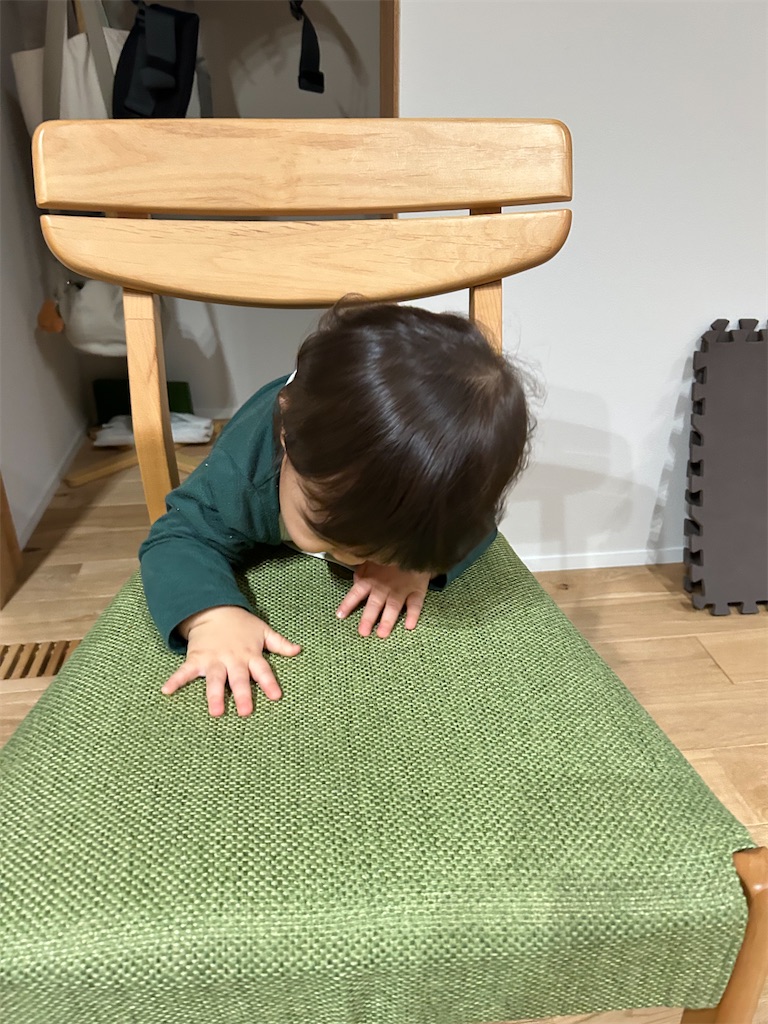 f:id:hazublog:20260125204850j:image