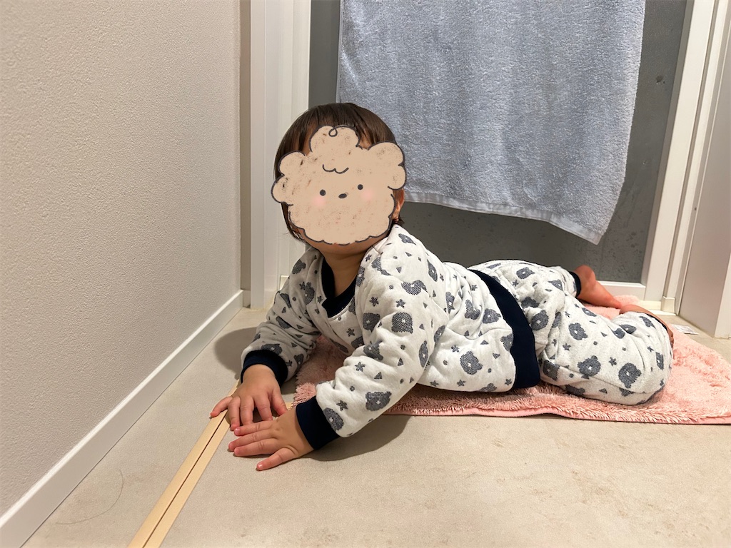 f:id:hazublog:20260125205305j:image