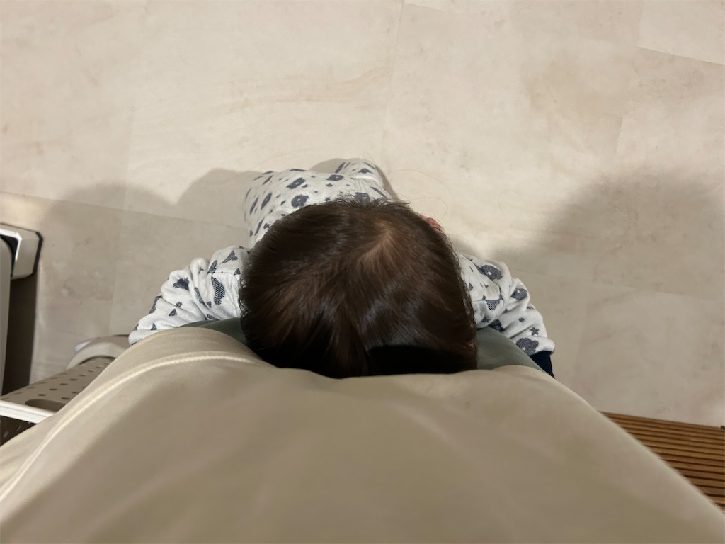 f:id:hazublog:20260126083728j:image