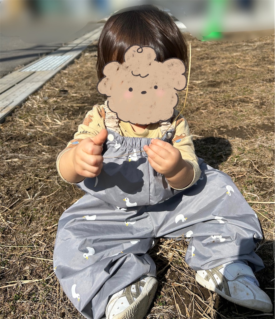 f:id:hazublog:20260301130336j:image