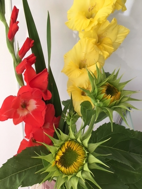f:id:hazukiken:20180629134756j:plain f:id:hazukiken:20180629134756j:plain