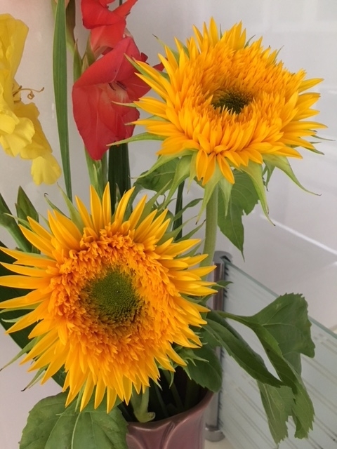 f:id:hazukiken:20180629134804j:plain f:id:hazukiken:20180629134804j:plain