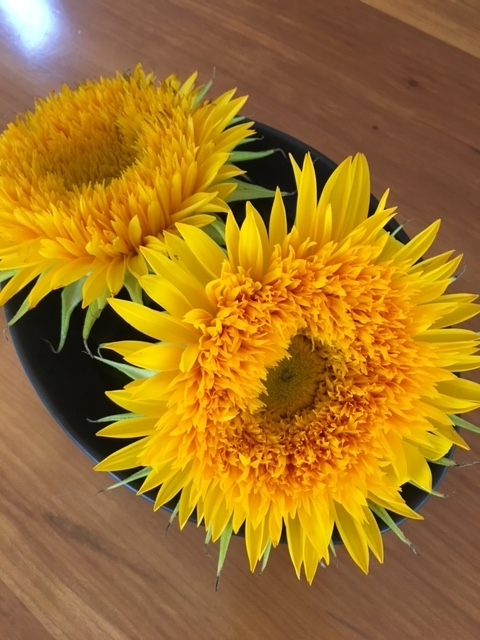 f:id:hazukiken:20180703100106j:plain f:id:hazukiken:20180703100106j:plain