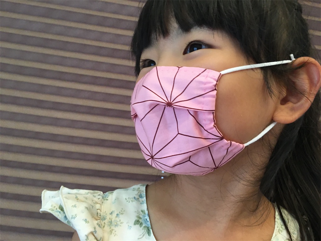 f:id:hazukiken:20200706103503j:image