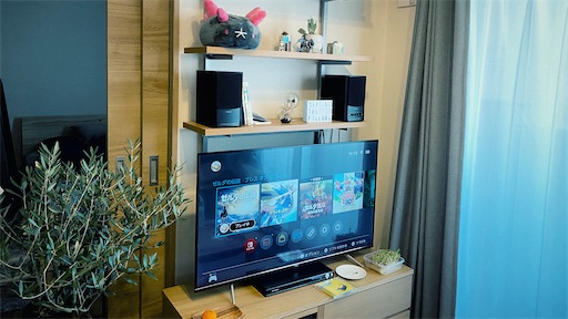 f:id:hazukikose:20210206161350j:image f:id:hazukikose:20210206161350j:image