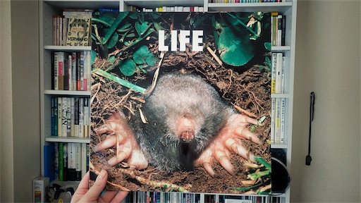 f:id:hazukikose:20211028125702j:image f:id:hazukikose:20211028125702j:image