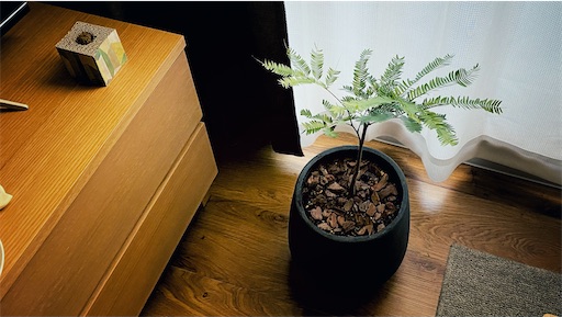 f:id:hazukikose:20211121203538j:image f:id:hazukikose:20211121203538j:image