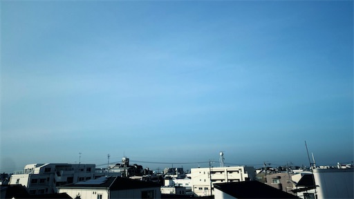 f:id:hazukikose:20220311080342j:image f:id:hazukikose:20220311080342j:image