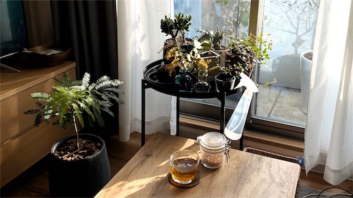 f:id:hazukikose:20220403135450j:image f:id:hazukikose:20220403135450j:image