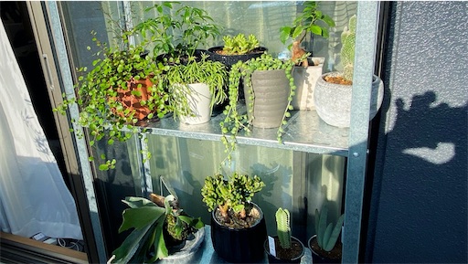 f:id:hazukikose:20220504221758j:image f:id:hazukikose:20220504221758j:image