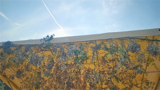 f:id:hazukikose:20221009213612j:image f:id:hazukikose:20221009213612j:image