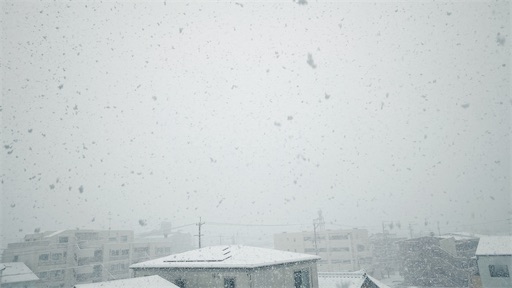f:id:hazukikose:20221225005637j:image