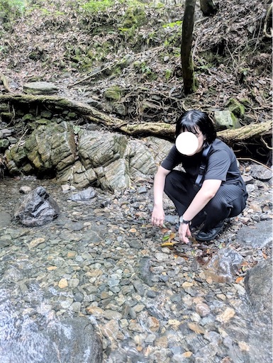 f:id:hazukikose:20240916202425j:image