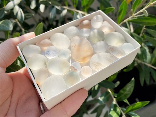 f:id:hazukikose:20240923175650j:image f:id:hazukikose:20240923175650j:image