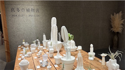 f:id:hazukikose:20250112140952j:image f:id:hazukikose:20250112140952j:image