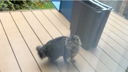 f:id:hazukikose:20250126124255j:image