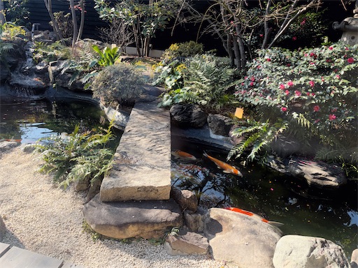 f:id:hazukikose:20250126224539j:image