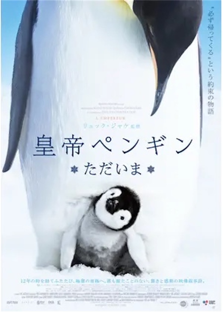 f:id:hazukilazy:20230201213427j:image