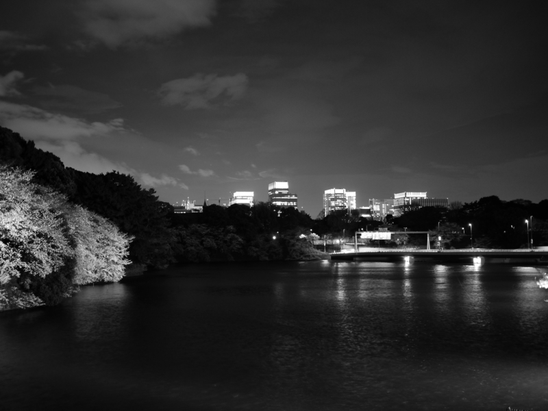 f:id:hazy_moon:20100401210654j:image:w600