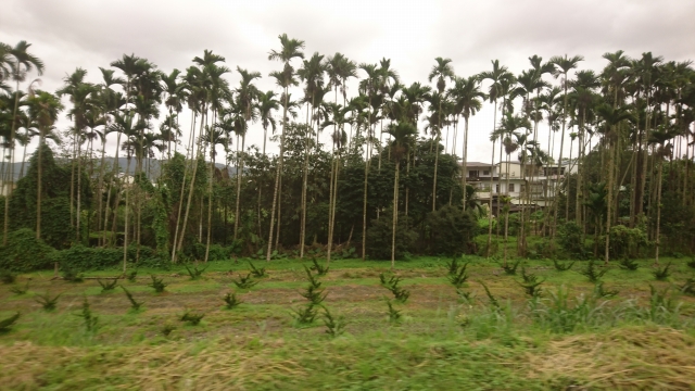 f:id:hba1c-6:20190129170122j:plain