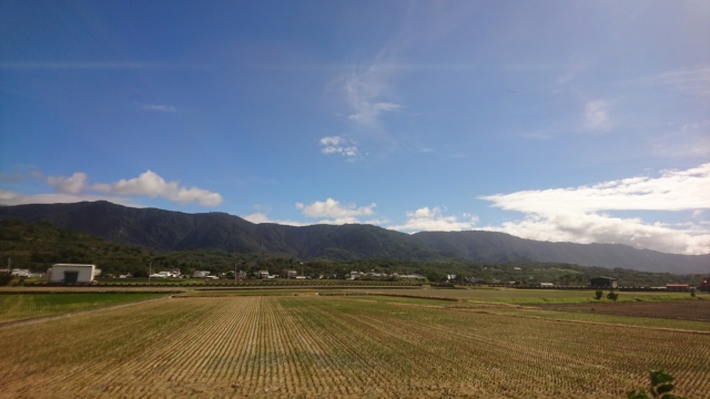 f:id:hba1c-6:20190129171329j:plain