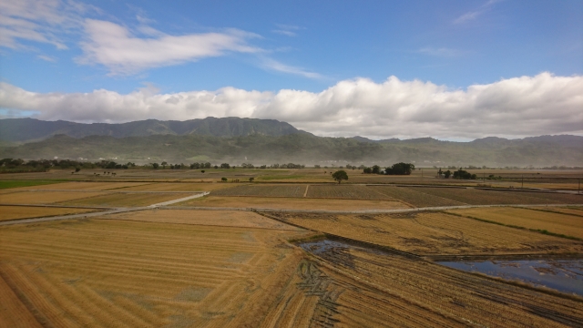 f:id:hba1c-6:20190129172240j:plain