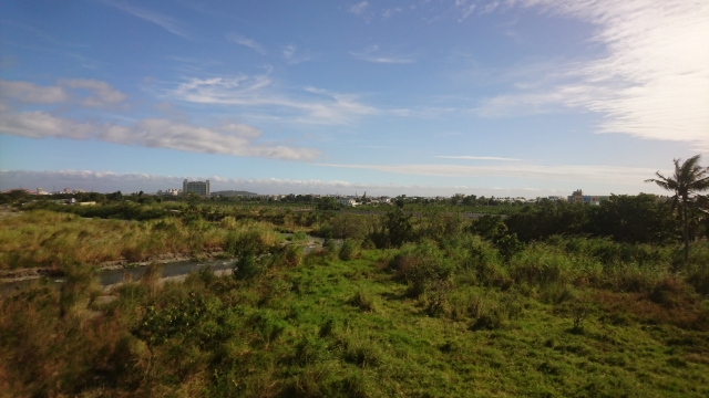 f:id:hba1c-6:20190129174041j:plain