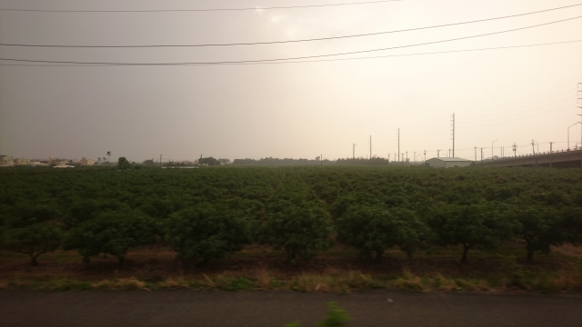 f:id:hba1c-6:20190129180008j:plain