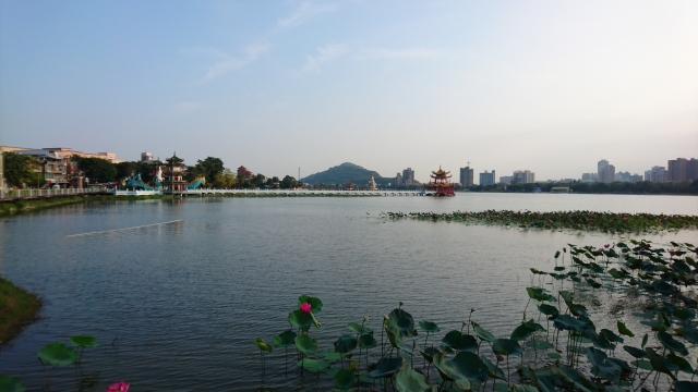 f:id:hba1c-6:20190202114125j:plain