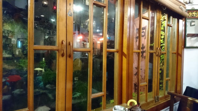 f:id:hba1c-6:20190209130314j:plain