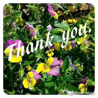 f:id:hchocolatier:20160928224848j:image