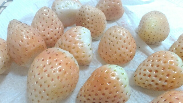 f:id:hchocolatier:20161203160317j:plain