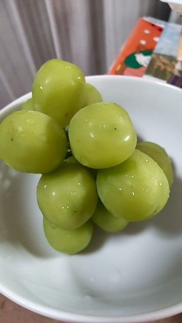 f:id:hcrabeater:20250221215635j:image f:id:hcrabeater:20250221215635j:image