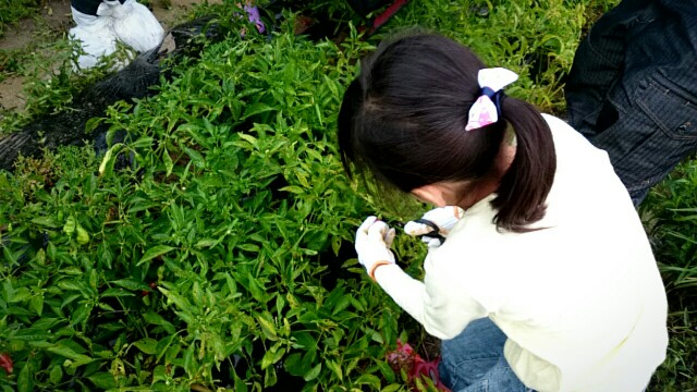 f:id:hd_murakami:20180920193633j:plain