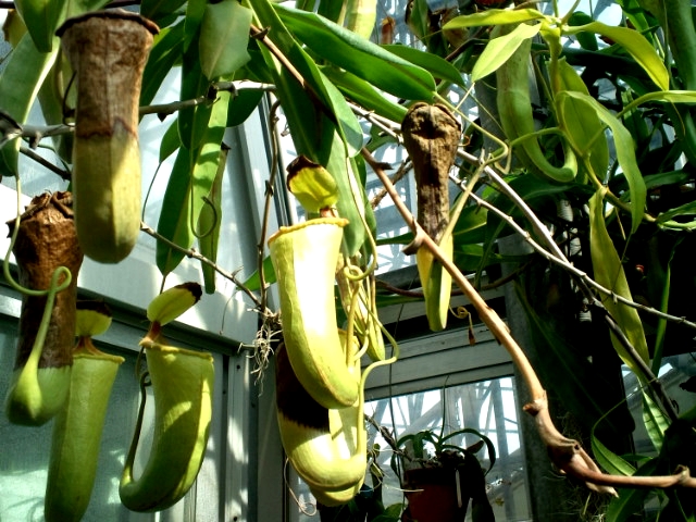 f:id:hdg:20120619150349j:image