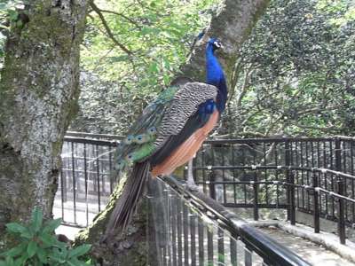 f:id:he123:20110813083955j:image