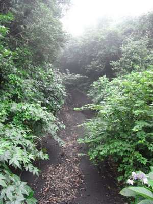 f:id:he123:20110813090053j:image
