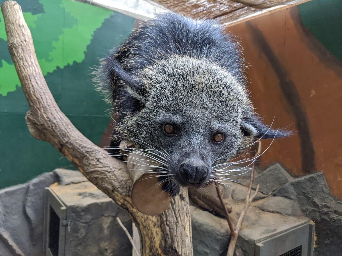 札幌の動物園 ノースサファリサッポロ がヤバかった件 It S An Endless World