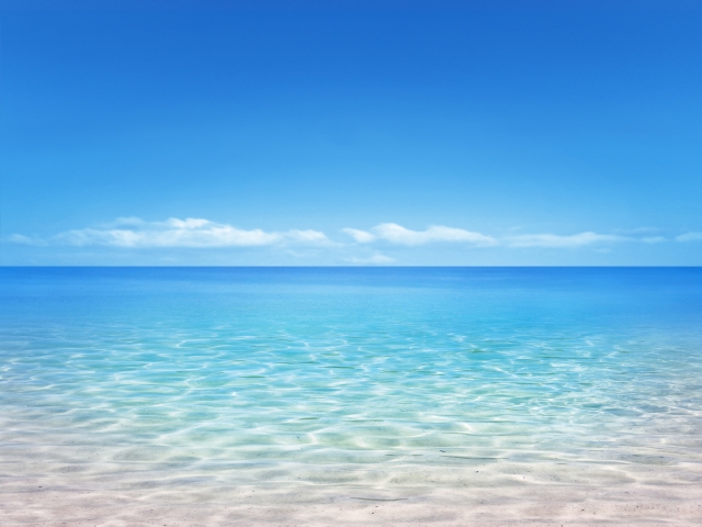 f:id:healing-jasmine:20210630201941j:plain